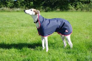 lightweight whippet coats